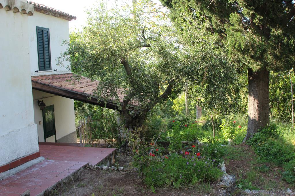 Tenuta Conte Ruggero サンタ・ドメーニカ 部屋 写真